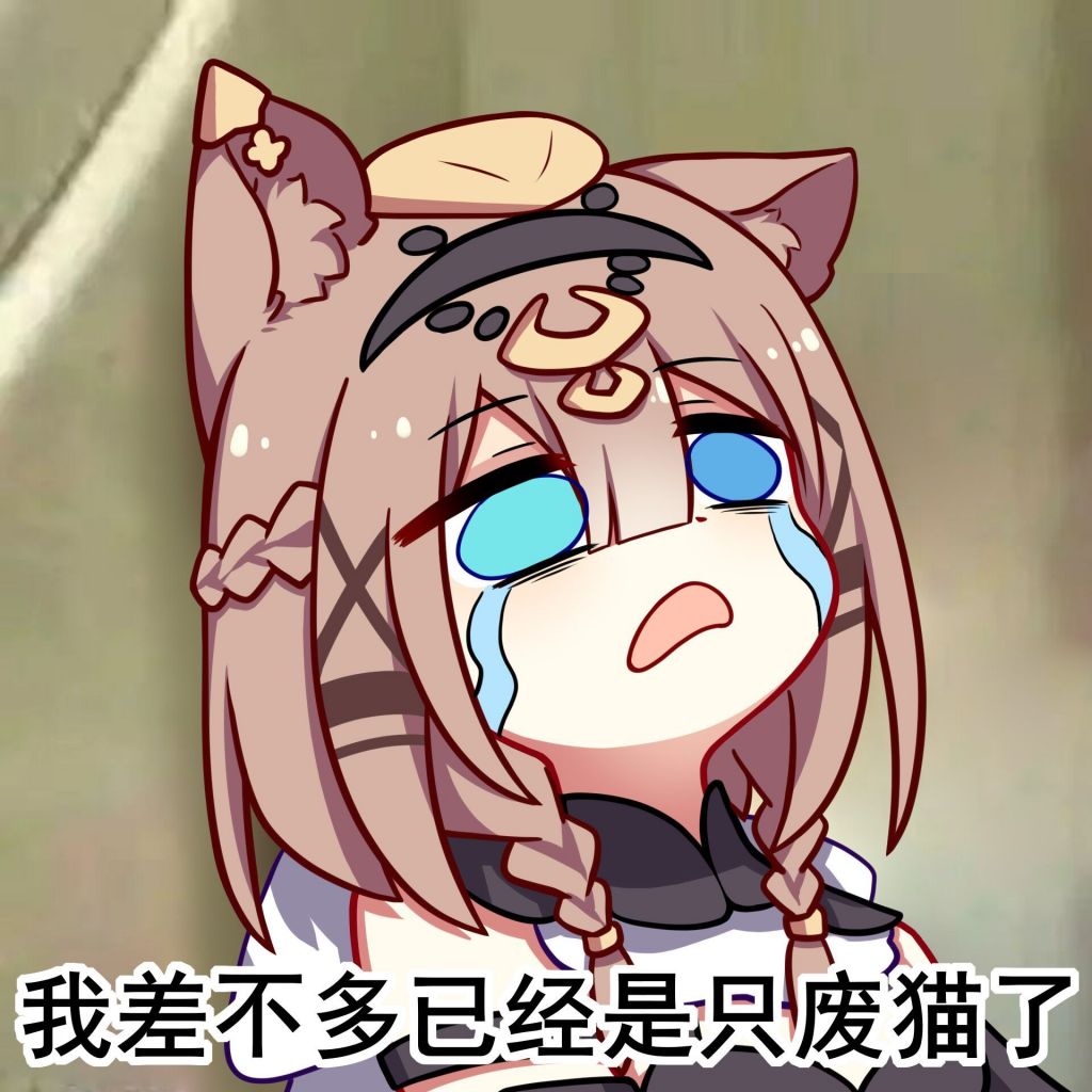 图氵求点帕朵表情包