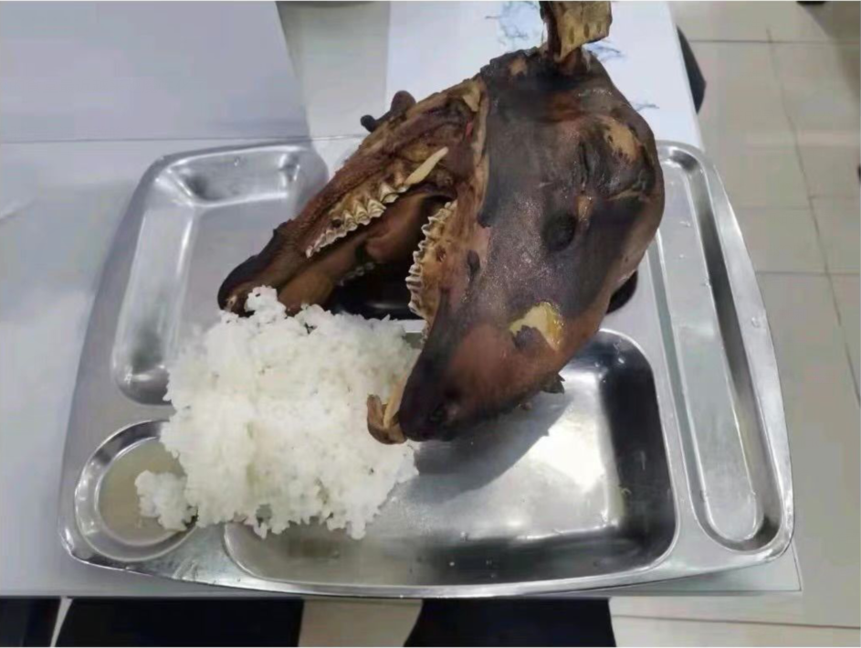 学校开始供应盖利德狗头