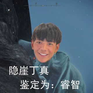 烂活整了一个丁真图