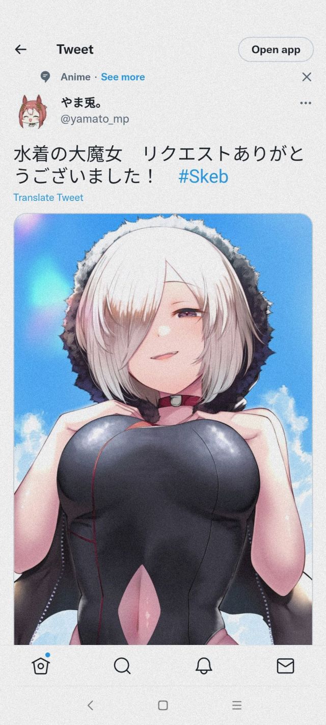 推特转图奥兹国的大魔女泳装