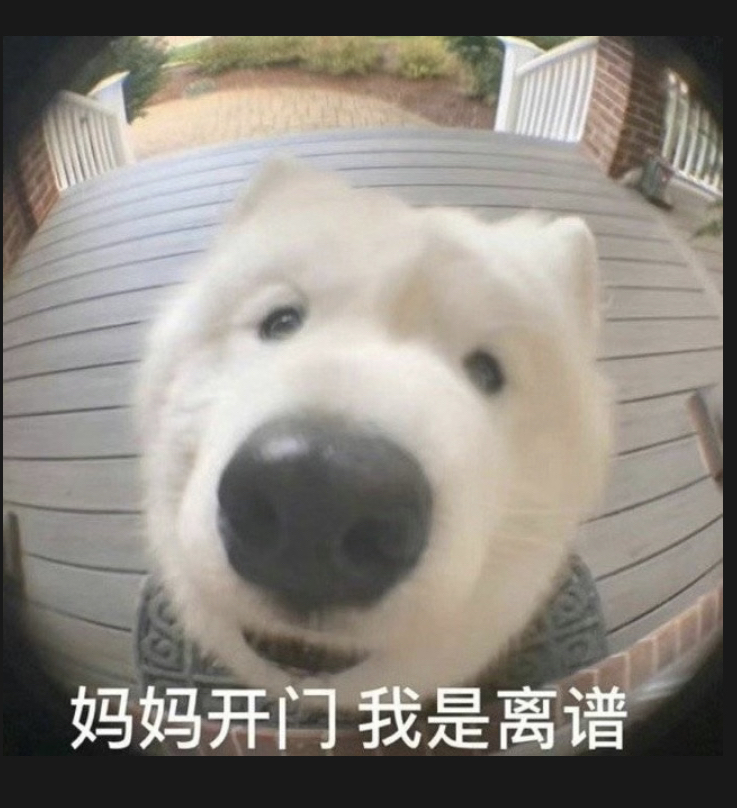 白色狗离谱表情包图片
