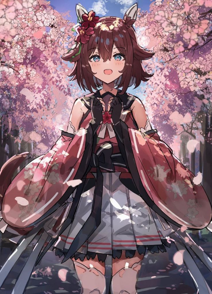 写作樱花千代王樱花再次盛开的时候