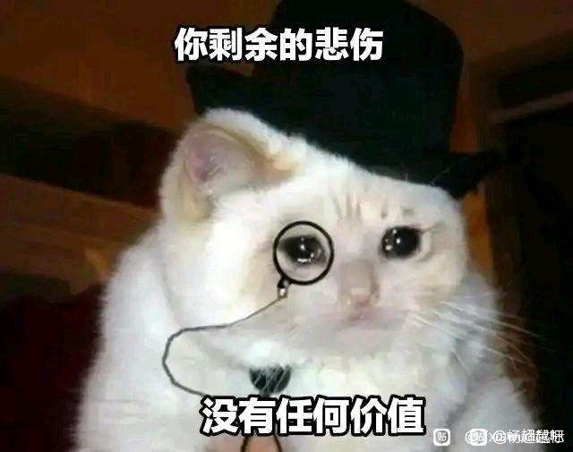 钢4真是服了蠢驴了每次更新都要修改代码吗