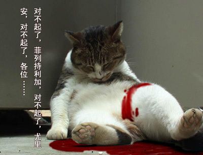 纪念杨威利提督逝世负1582年