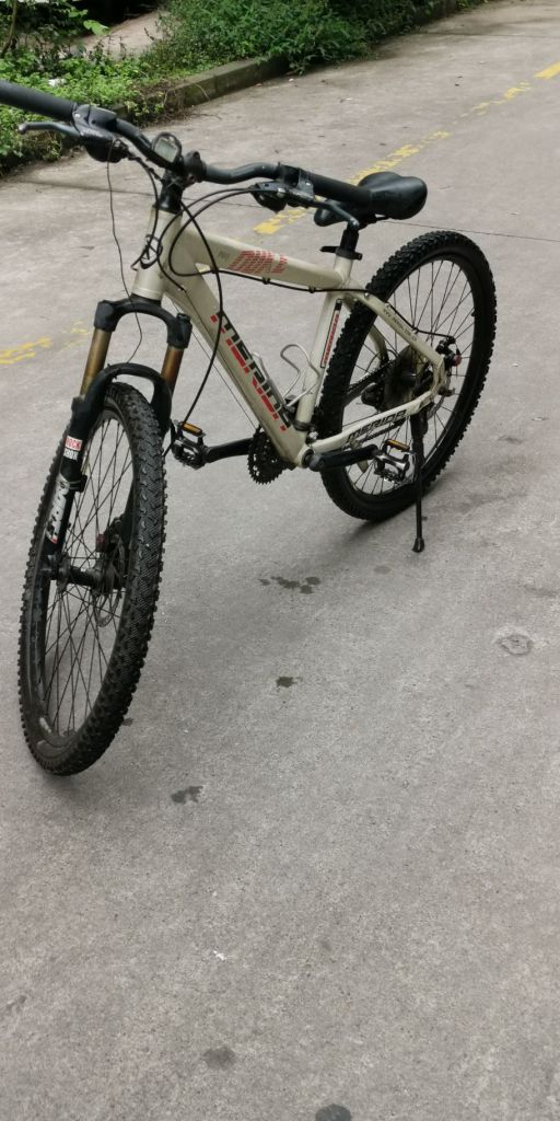 出个美利达公爵pro吃灰多年成色看图