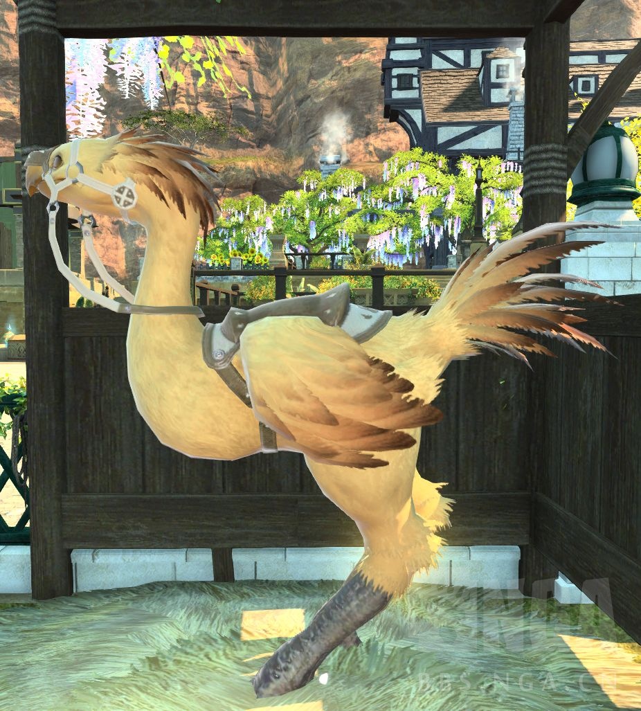 cp氵记录氵染色氵关于cp的换羽记录帖为什么没有全