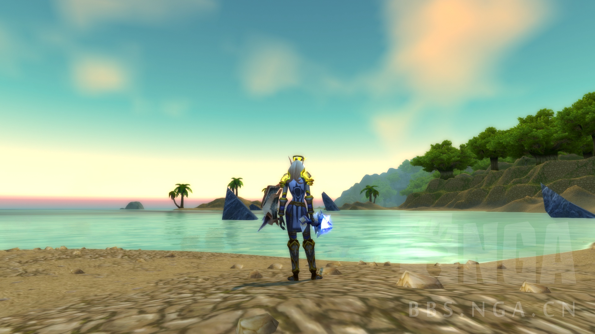 血精灵防骑幻化盾牌加战袍武器有调料包哦