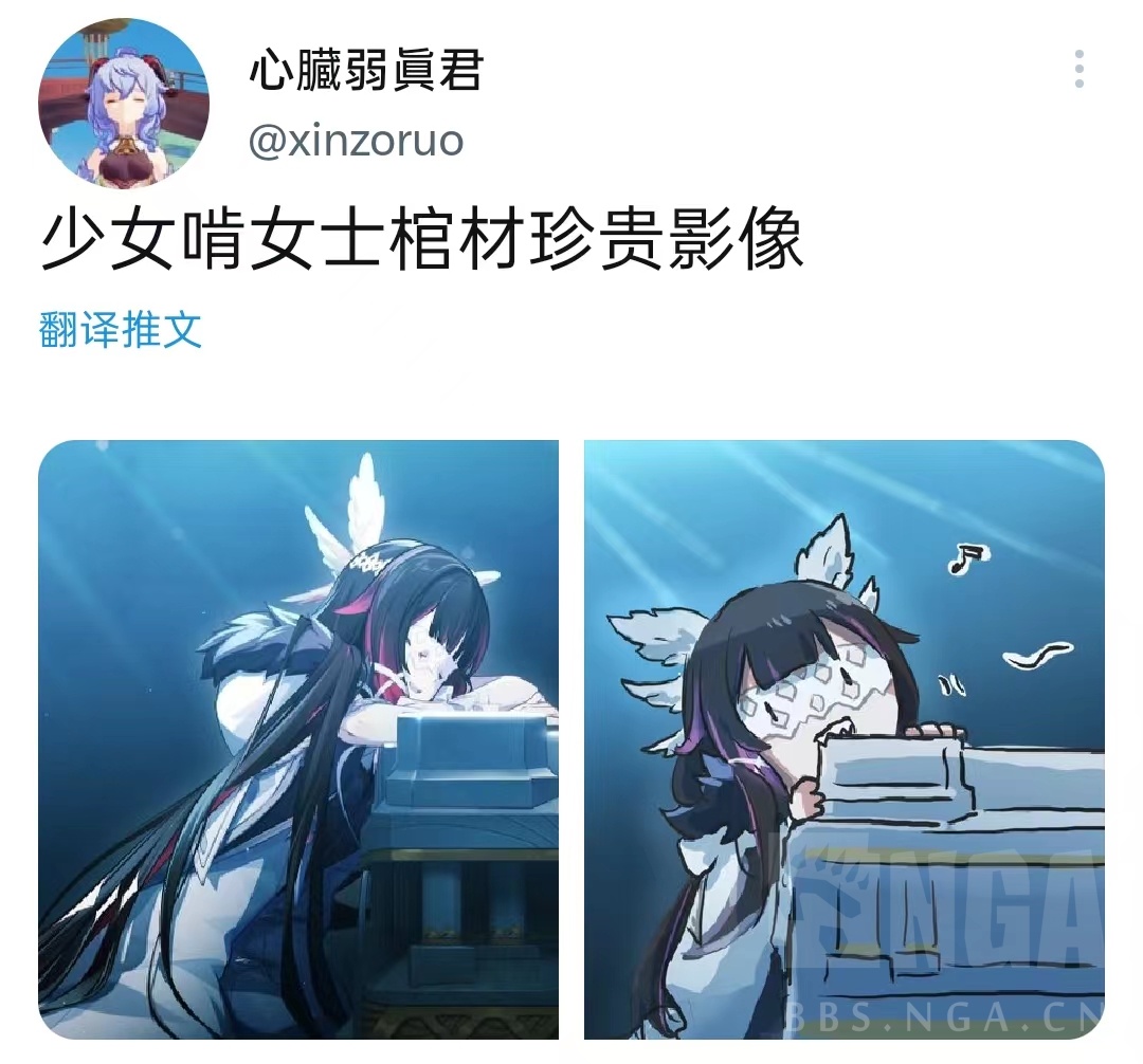 愚人众氵少女啃女士棺材珍贵影像