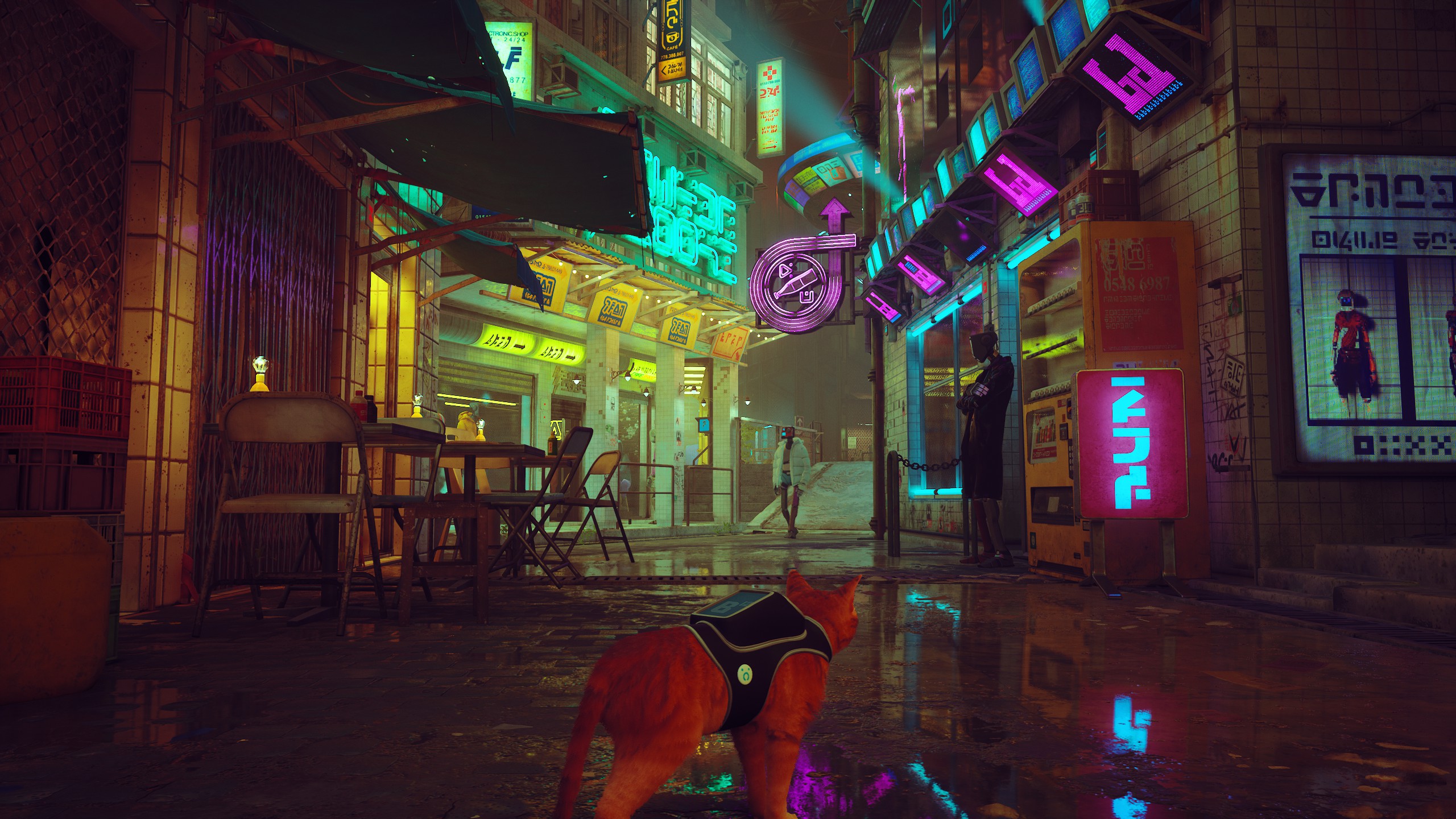 [众测计划]stray:竟然有游戏如此明目张胆的收割猫奴!我无法.无法拒绝