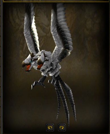 有人见过这种双头鸟吗很好看关键很稀有带出去很有排面