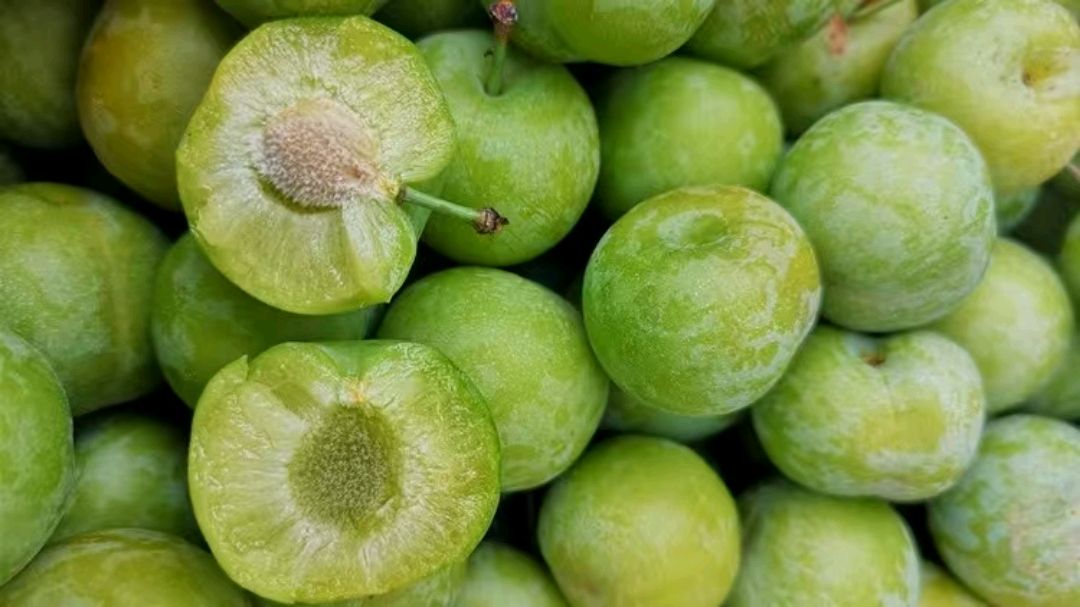 老哥们这种绿色的李子网上买有推荐吗