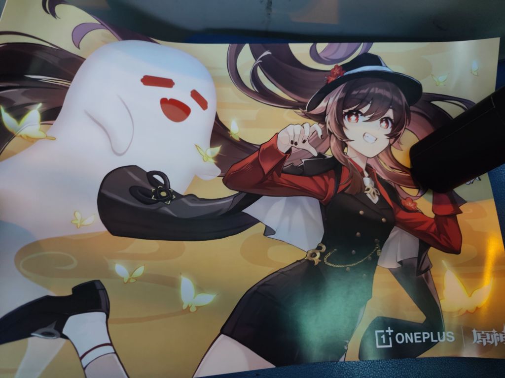 闲聊杂谈胡桃海报展示