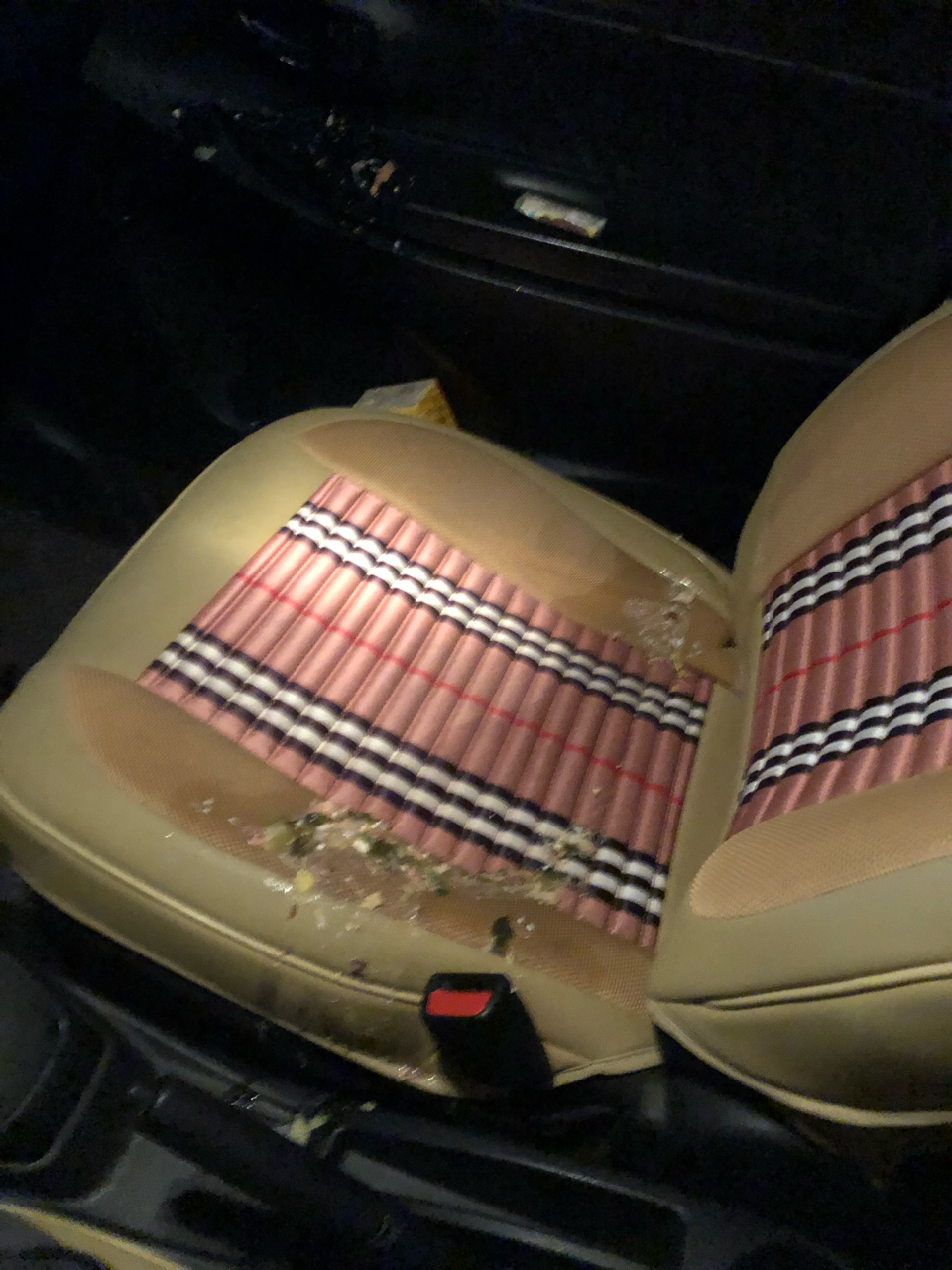 被人吐了一车怎么办要疯了