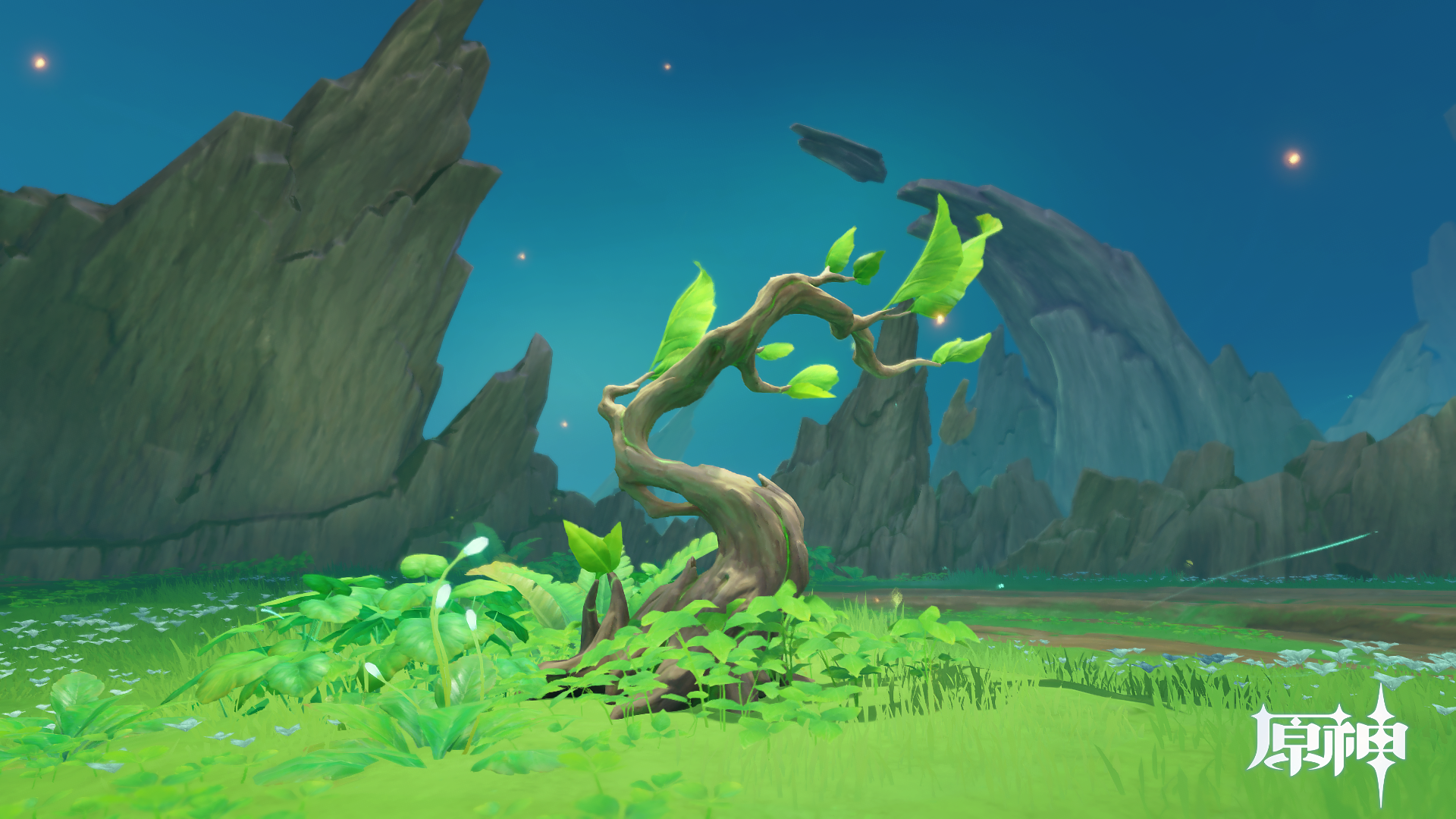 抛砖引玉拍照氵大家在须弥拍了什么满意的照片