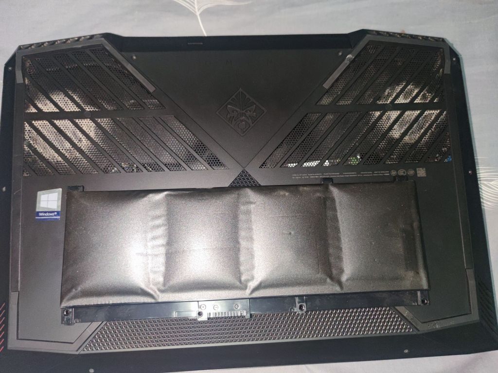 笔记本鼓包精灵氵没想到鼓包精灵会被我碰上