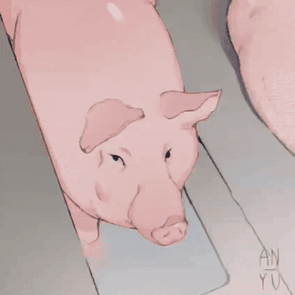 微信拍一拍猪的表情包图片
