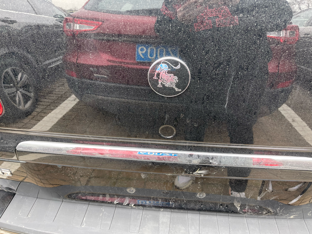 这车标的老虎头还挺好看的