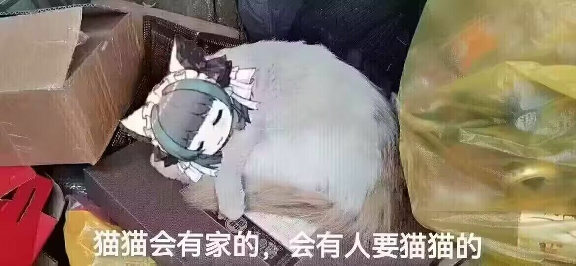 许愿来点柴郡的猫猫表情包