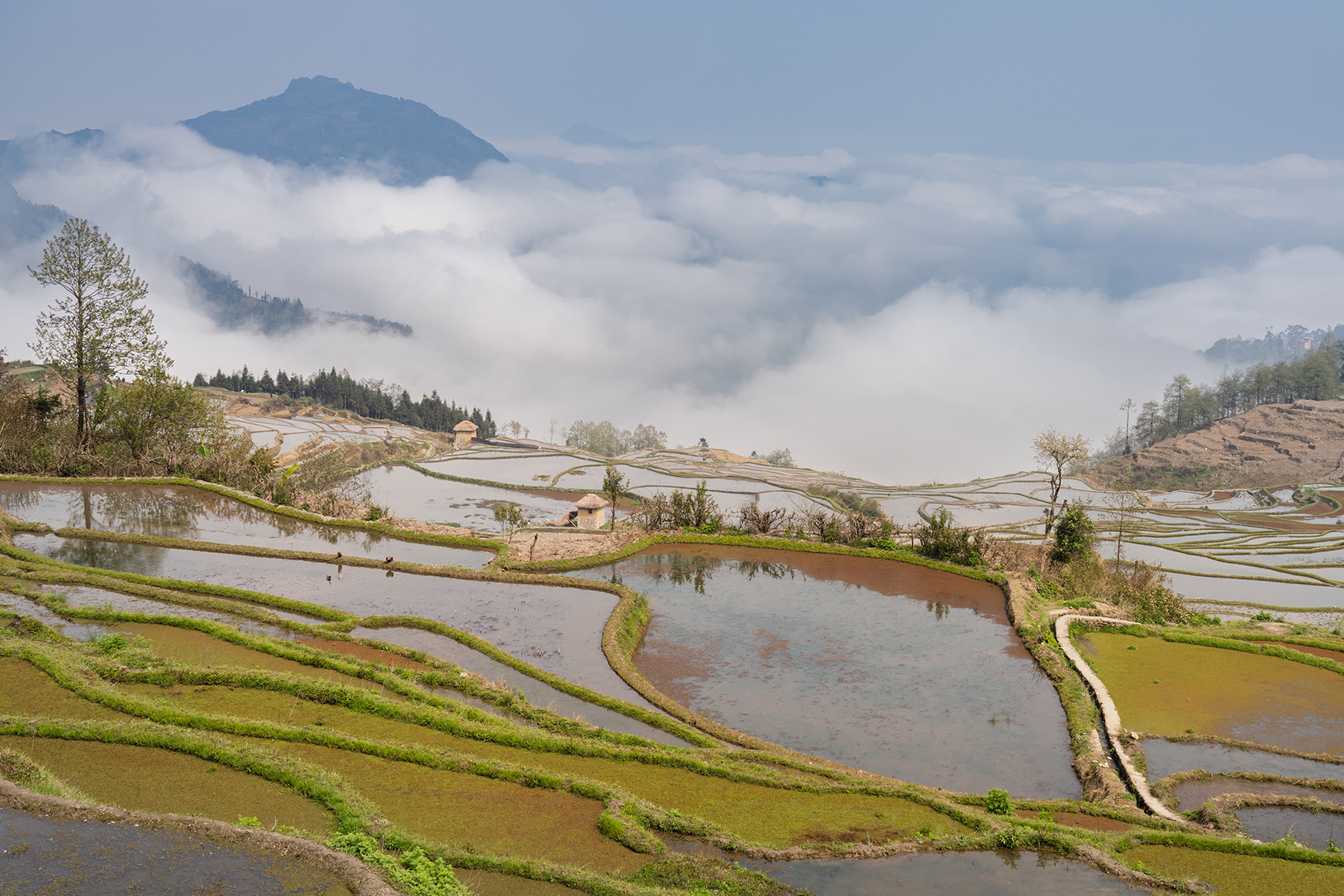 踏青摄影在云南元阳梯田拍的一些照片