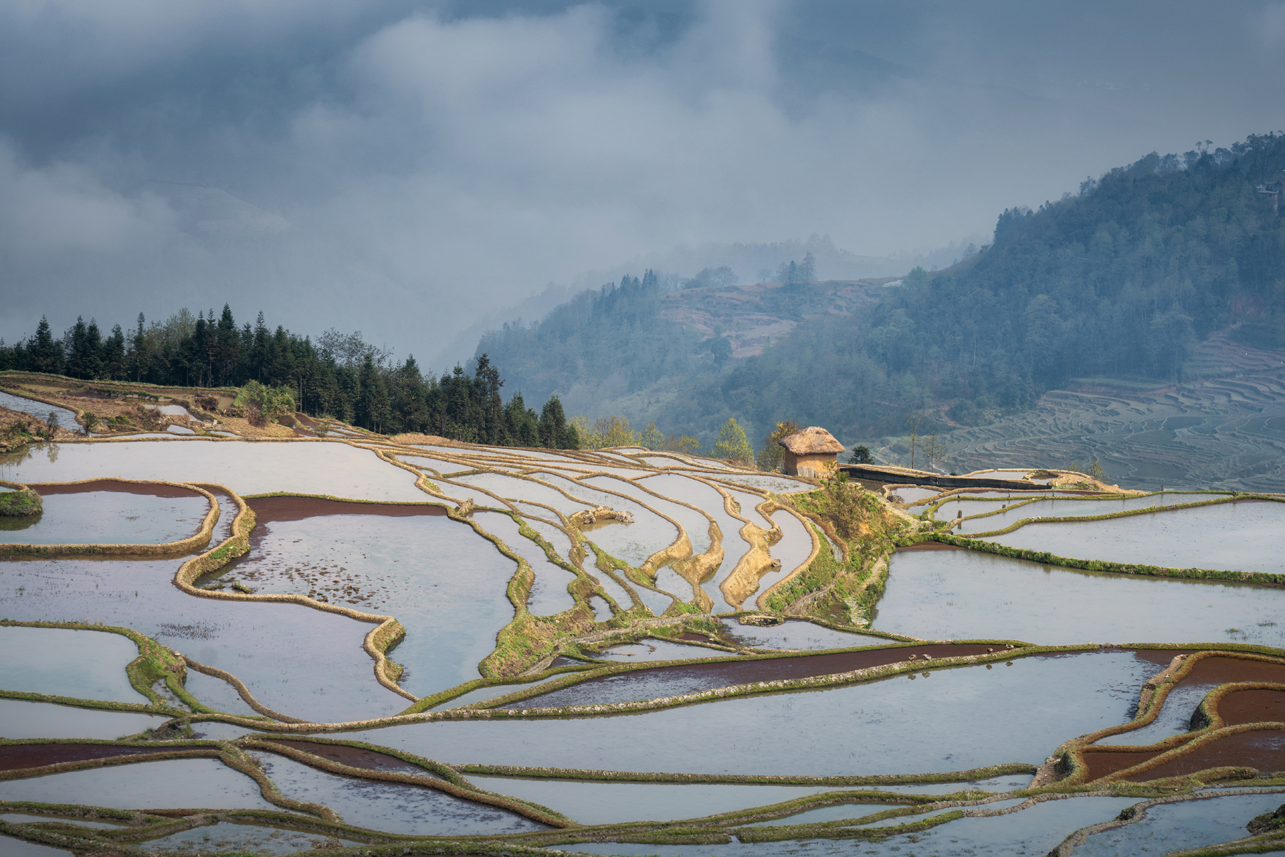 踏青摄影在云南元阳梯田拍的一些照片