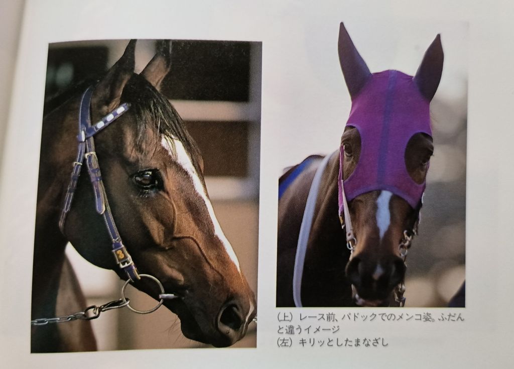 [现实考证]《特别周——最强马的证明》杂记