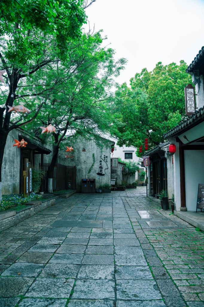 荡口古镇人少景美速来