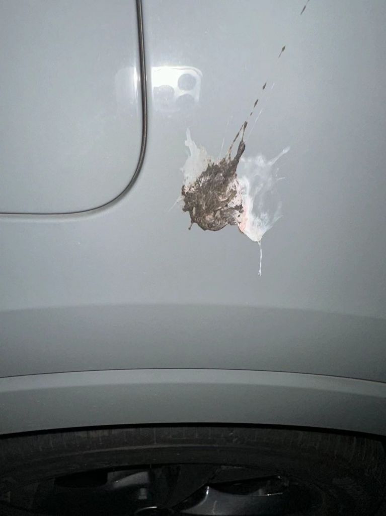 黑车拉白屎,白车拉黑屎,灰车拉什么屎?