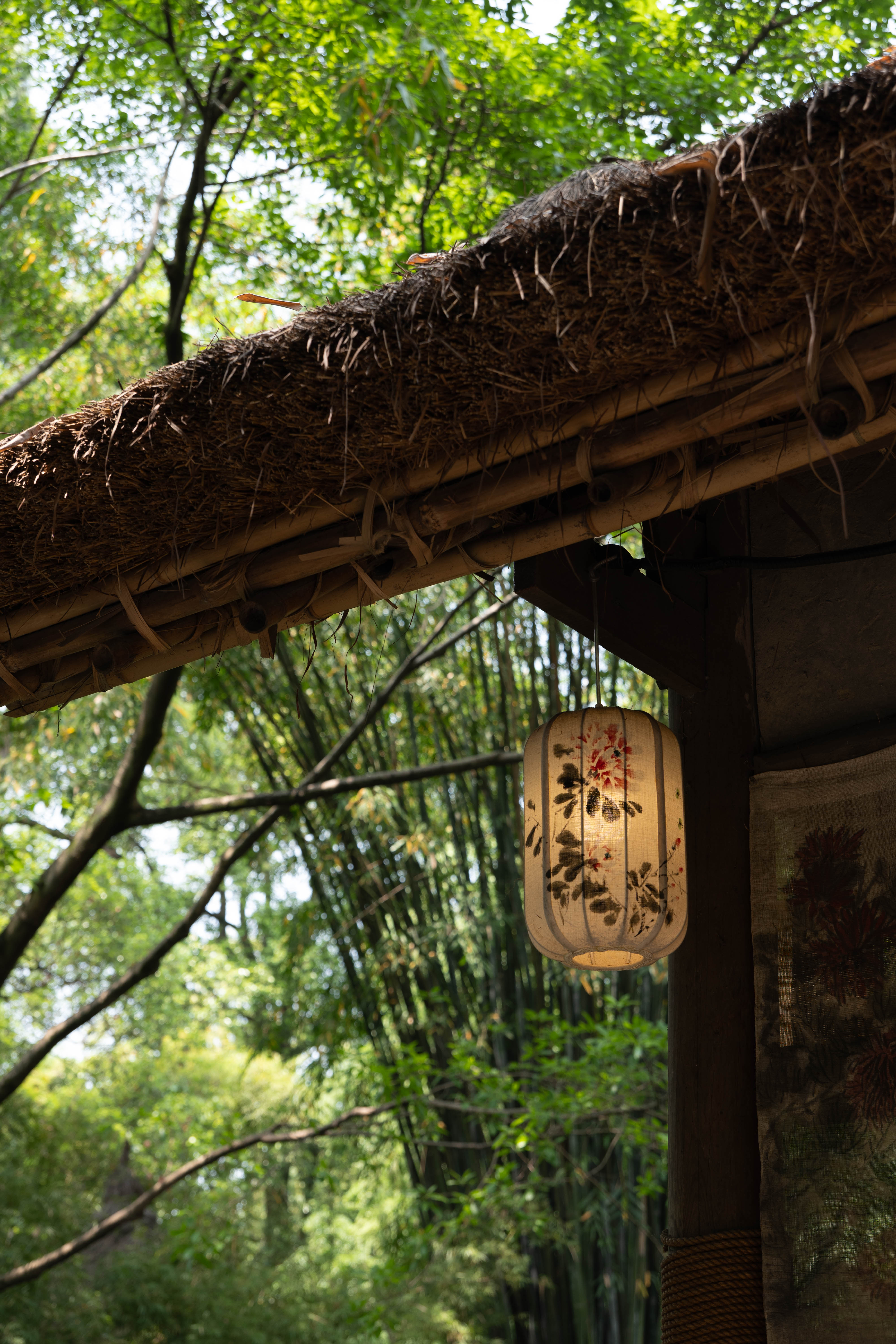 [踏青摄影] 杜甫草堂逛半天