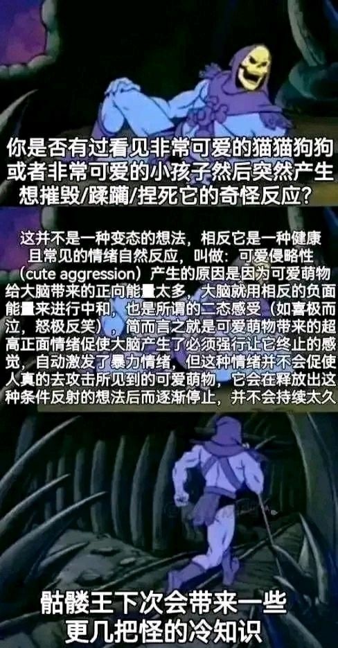 骷髅王还说过什么其他的冷知识?