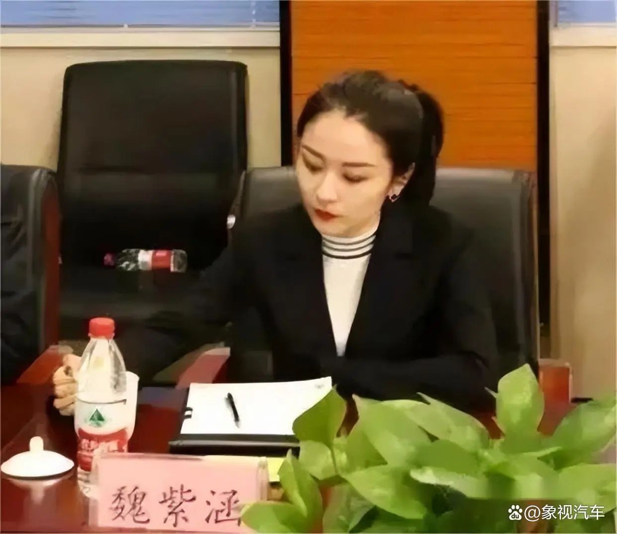 [乐子水]cc汽车完全宫廷化了