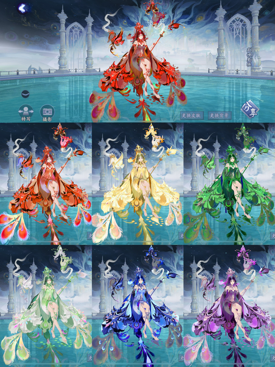 终于凑齐了七彩孔雀