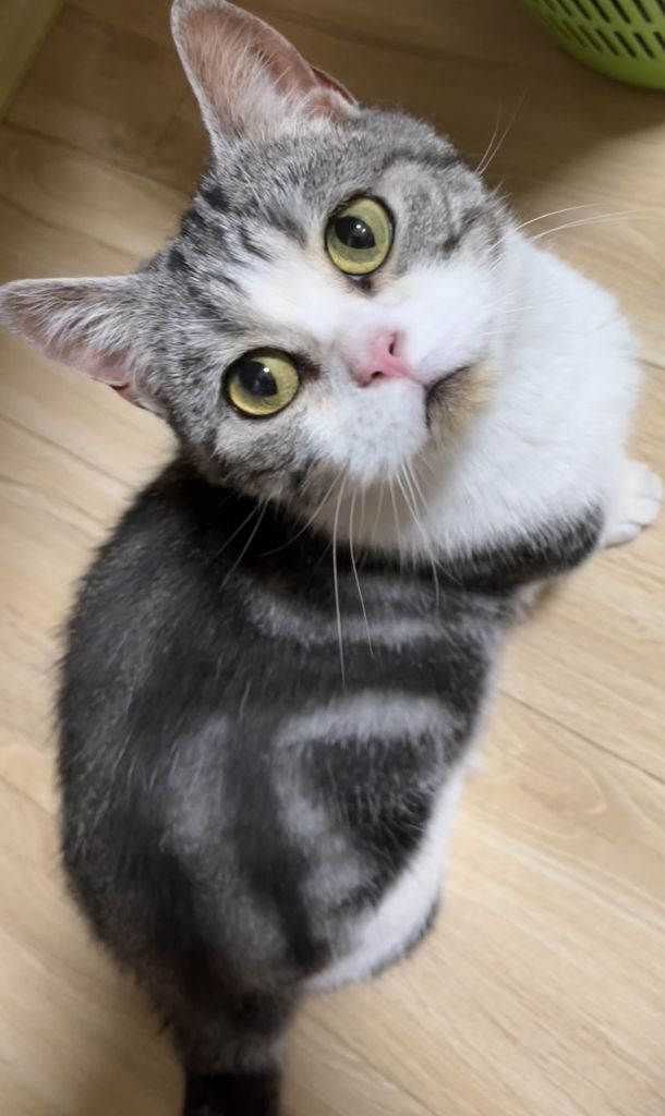 610_1024竖版 竖屏