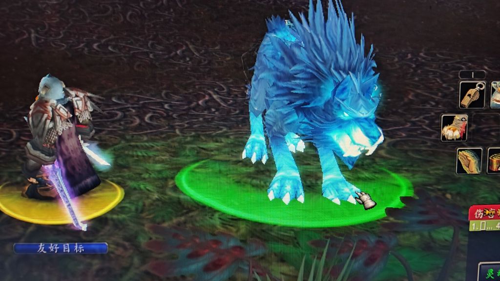 不用许愿了都有了灵魂兽