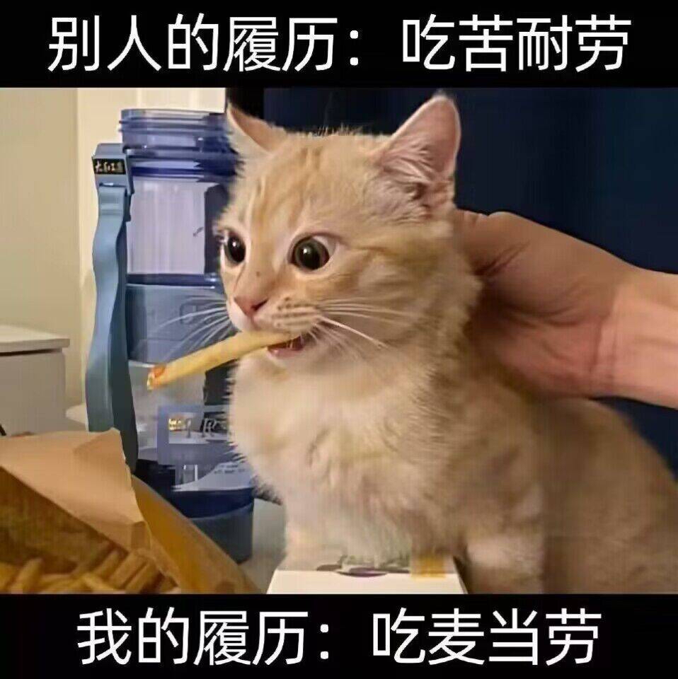 熊猫人5h速刷招募