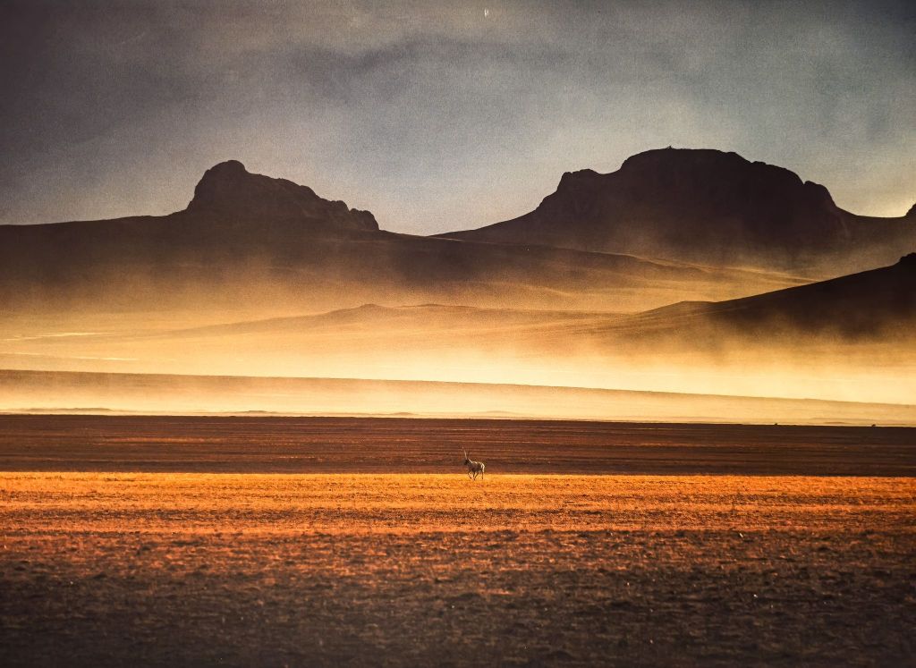 [摄影专贴]推荐一下苏州近期的国家地理展