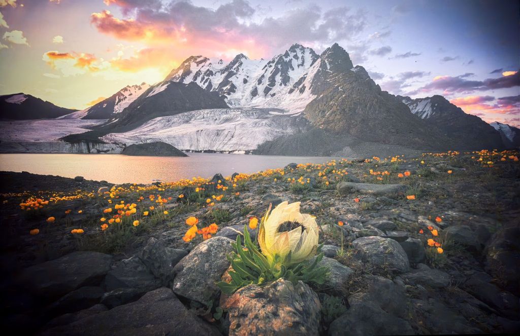 [摄影专贴]推荐一下苏州近期的国家地理展