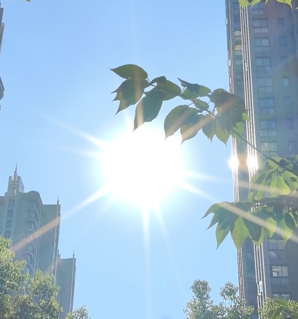 小光圈目前为止没别的感觉,就是拍太阳贼爽