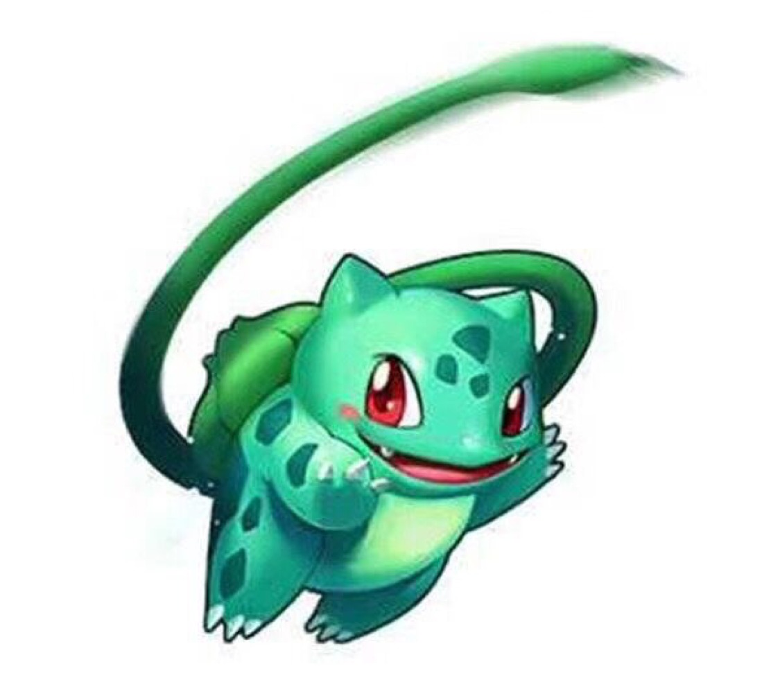 顽皮熊猫大师 的头像