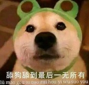 痛打落水狗和舔狗 的头像