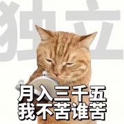 食懵你啊 的头像