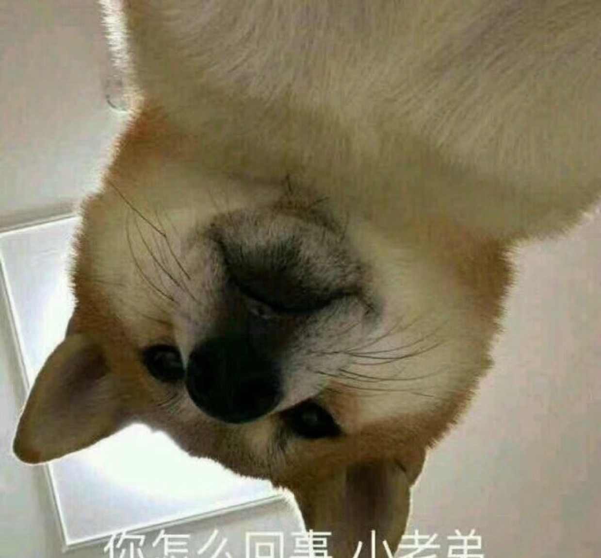 漏沙沙漏 的头像