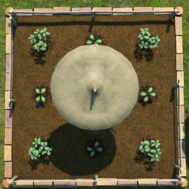 种植101 作物种植与杂交指南nga玩家社区