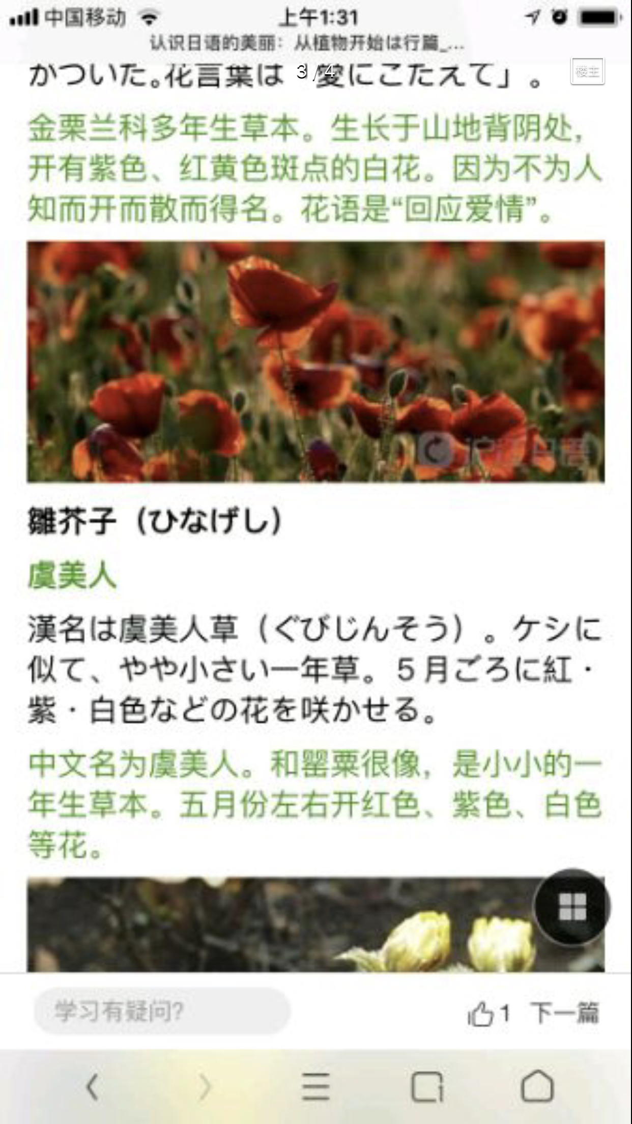 剧情讨论 红之月下美人 眼睛娘的servant奶一口蒙恬nga玩家社区