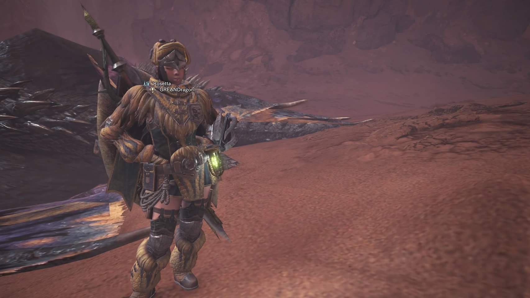 手残终于过了最后一个龙了 求猎人组织