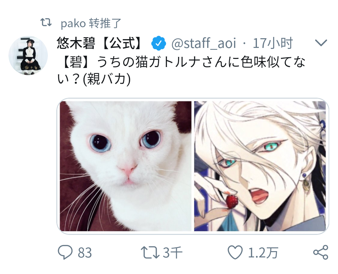 理性蒸发a 悠木碧 我家的猫很像迦尔纳nga玩家社区