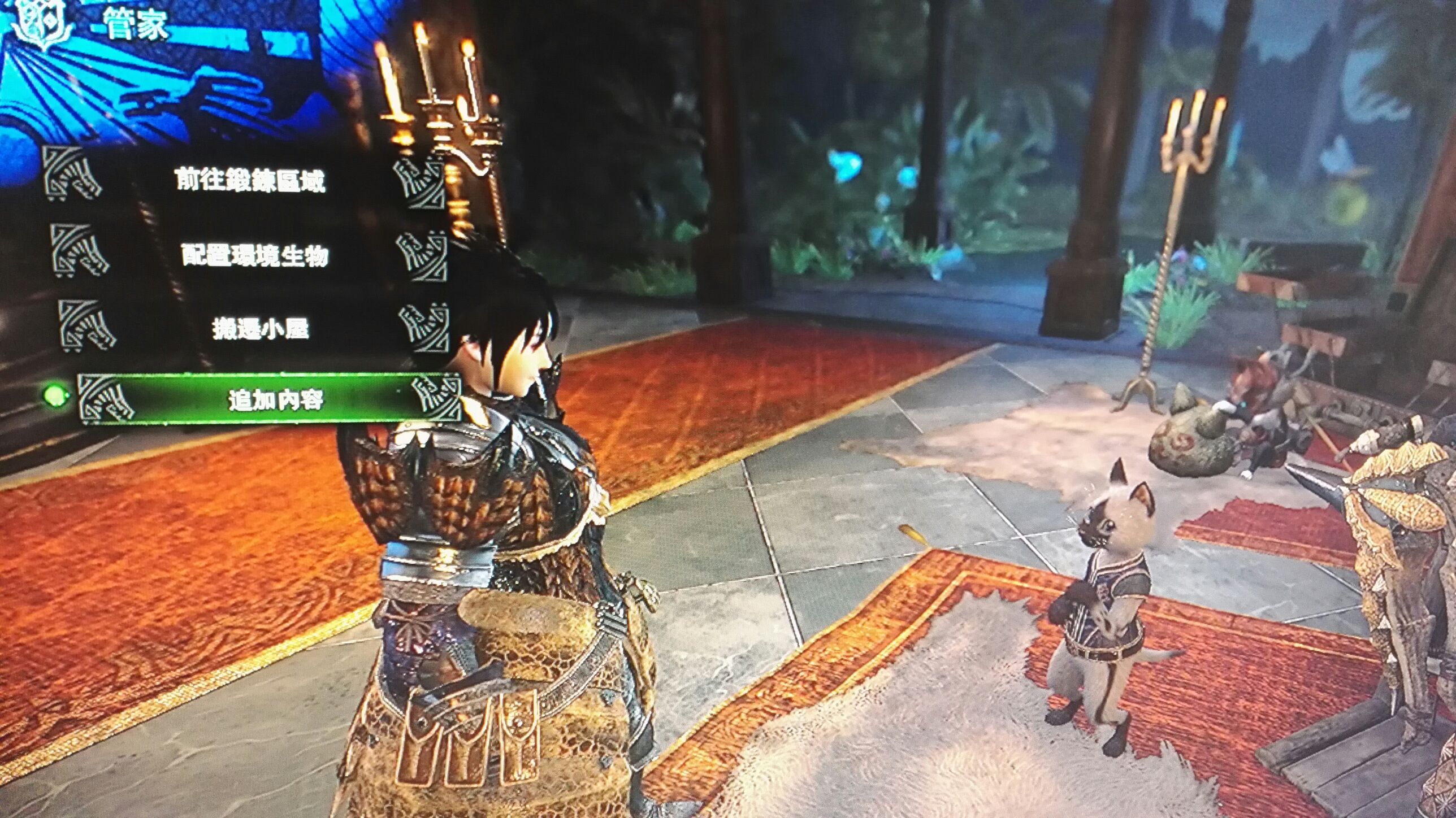 萌新提问 猫猫探险队nga玩家社区