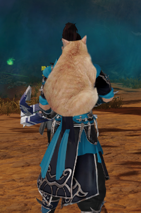 官方资讯] 激萌来袭《剑网3》猫咪挂宠今日亮相NGA玩家社区