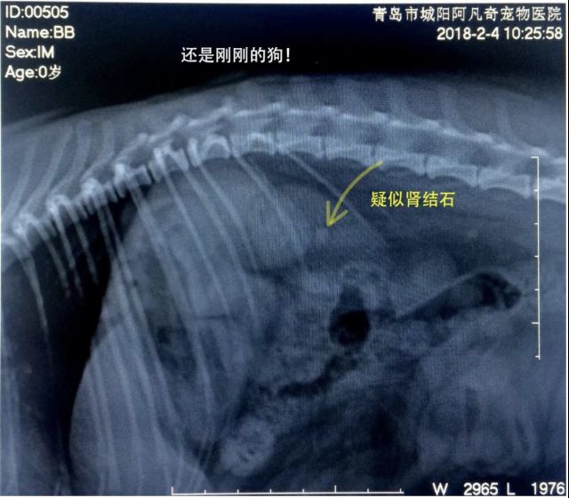科普知识]MYAO体检手册 X光NGA玩家社区