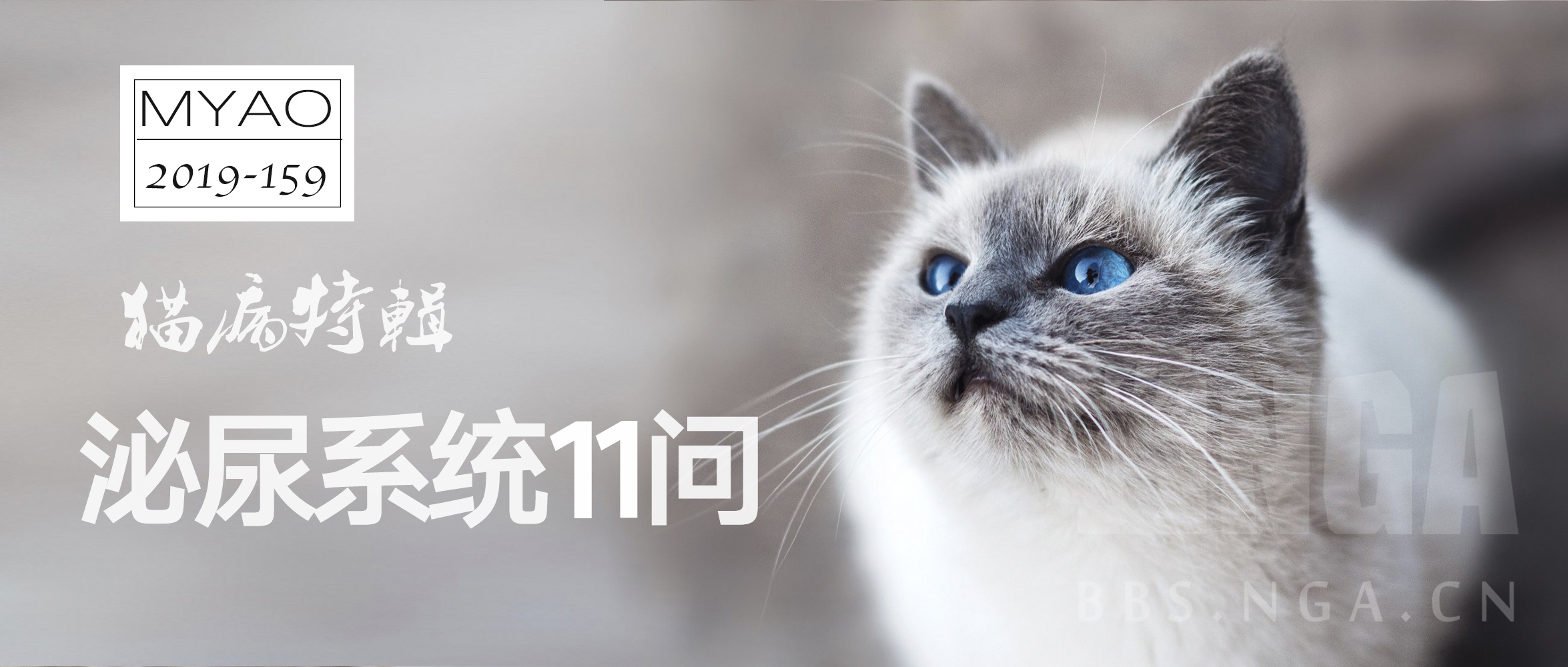 科普知识 Myao猫病特辑 泌尿系统11问nga玩家社区