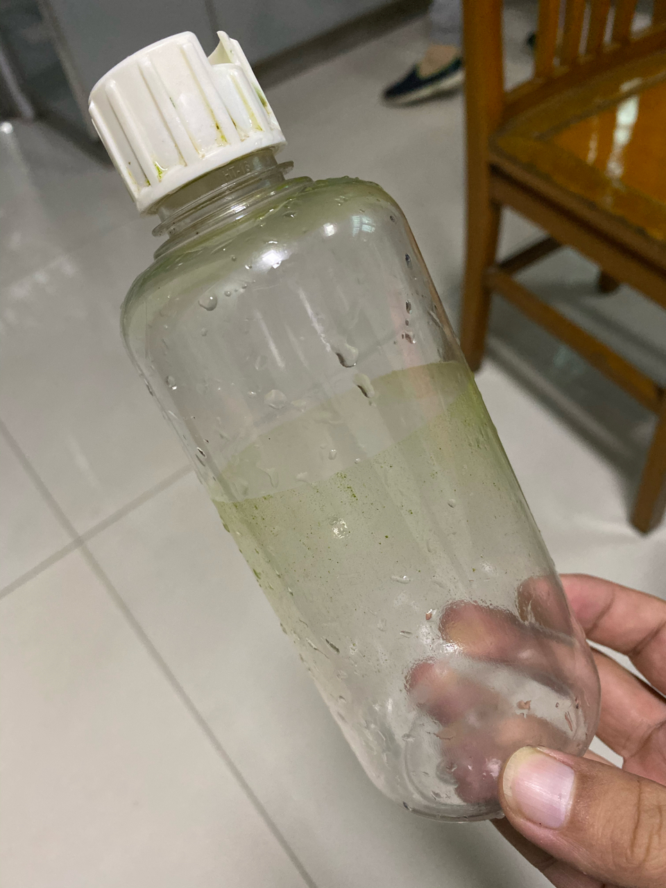 猫猫的水瓶里面老是有青苔 要怎么处理呢 Nga玩家社区